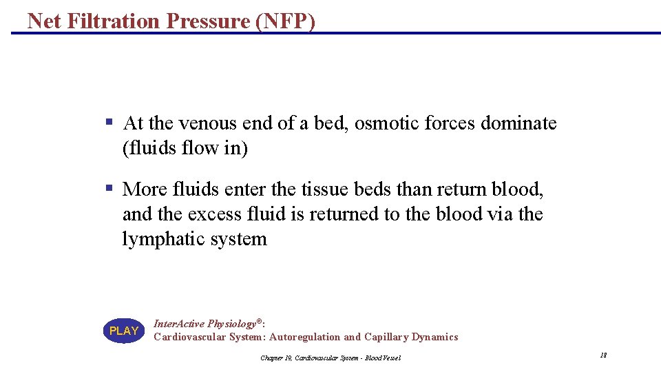Net Filtration Pressure (NFP) § At the venous end of a bed, osmotic forces