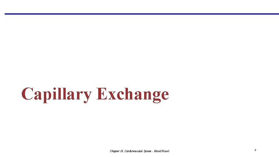 Capillary Exchange Chapter 19, Cardiovascular System - Blood Vessel 2 