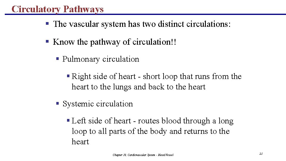 Circulatory Pathways § The vascular system has two distinct circulations: § Know the pathway