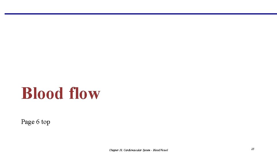 Blood flow Page 6 top Chapter 19, Cardiovascular System - Blood Vessel 25 