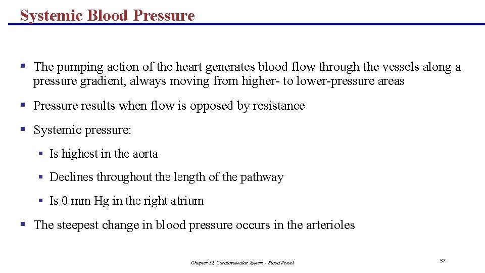 Systemic Blood Pressure § The pumping action of the heart generates blood flow through