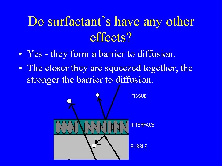 Do surfactant’s have any other effects? • Yes - they form a barrier to