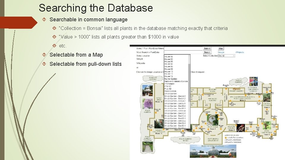 Searching the Database Searchable in common language “Collection = Bonsai” lists all plants in