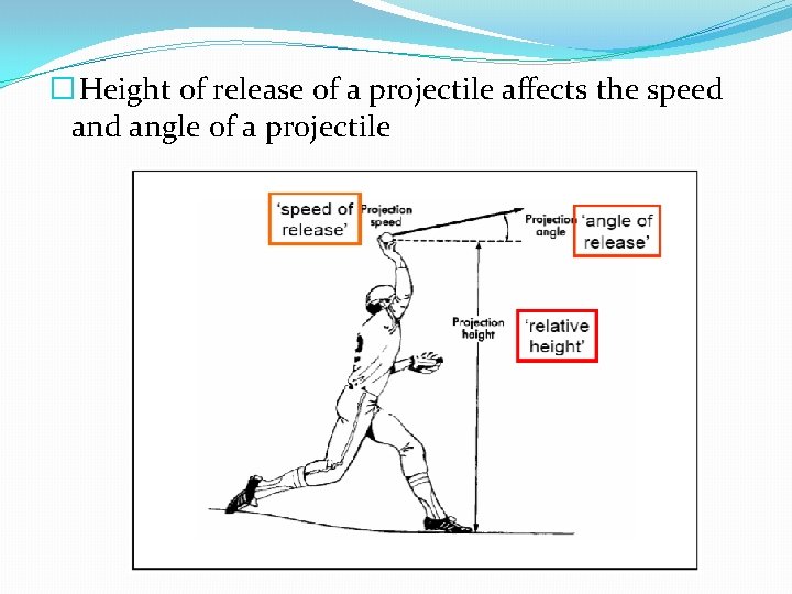 � Height of release of a projectile affects the speed angle of a projectile