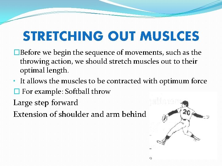 STRETCHING OUT MUSLCES �Before we begin the sequence of movements, such as the throwing