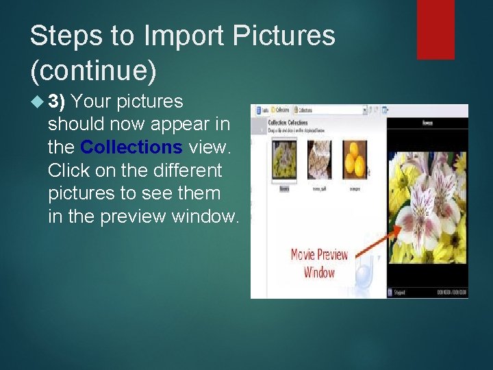 Steps to Import Pictures (continue) 3) Your pictures should now appear in the Collections