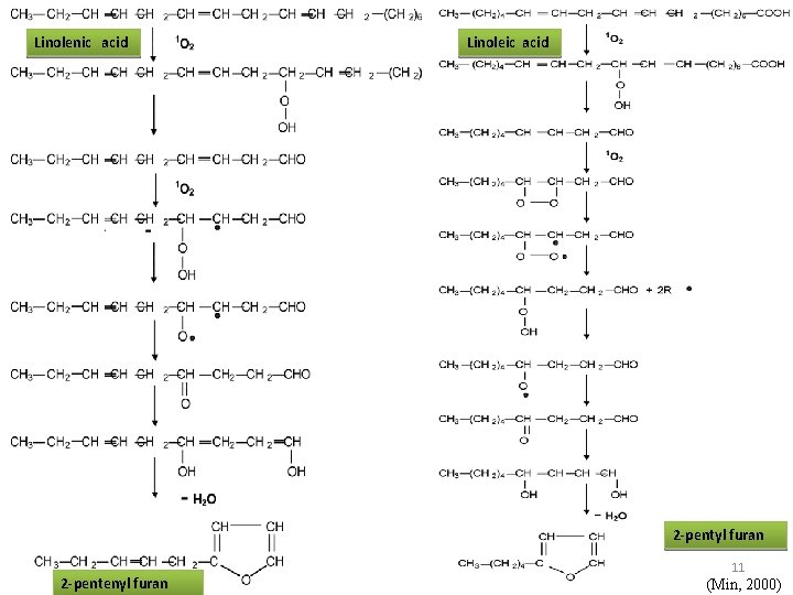 Linolenic acid Linoleic acid 2 -pentyl furan 2 -pentenyl furan 11 (Min, 2000) 