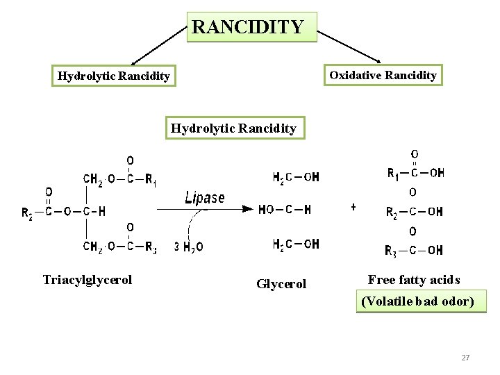 RANCIDITY Oxidative Rancidity Hydrolytic Rancidity Triacylglycerol Glycerol Free fatty acids (Volatile bad odor) 27