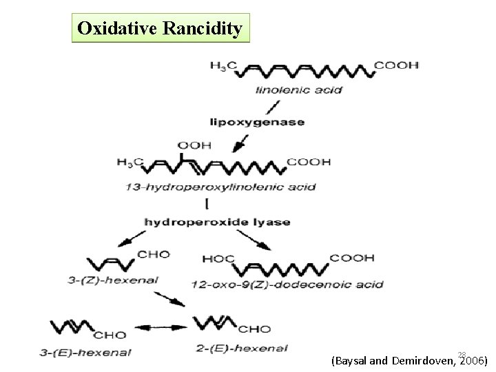 Oxidative Rancidity 28 (Baysal and Demirdoven, 2006) 