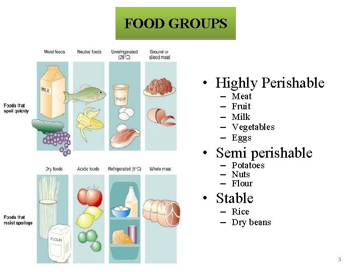 FOOD GROUPS • Highly Perishable – – – Meat Fruit Milk Vegetables Eggs •