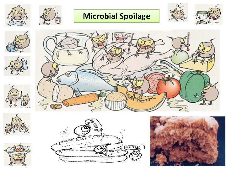 Microbial Spoilage 31 