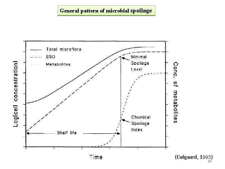General pattern of microbial spoilage (Dalgaard, 1993) 33 