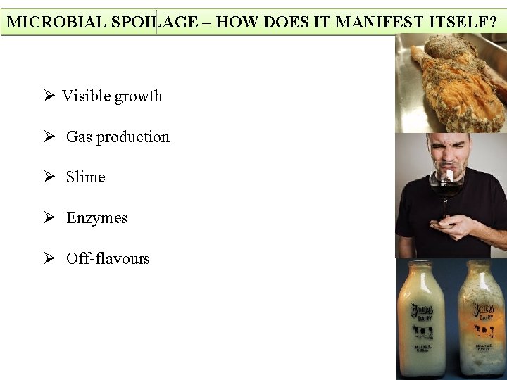 MICROBIAL SPOILAGE – HOW DOES IT MANIFEST ITSELF? Ø Visible growth Ø Gas production