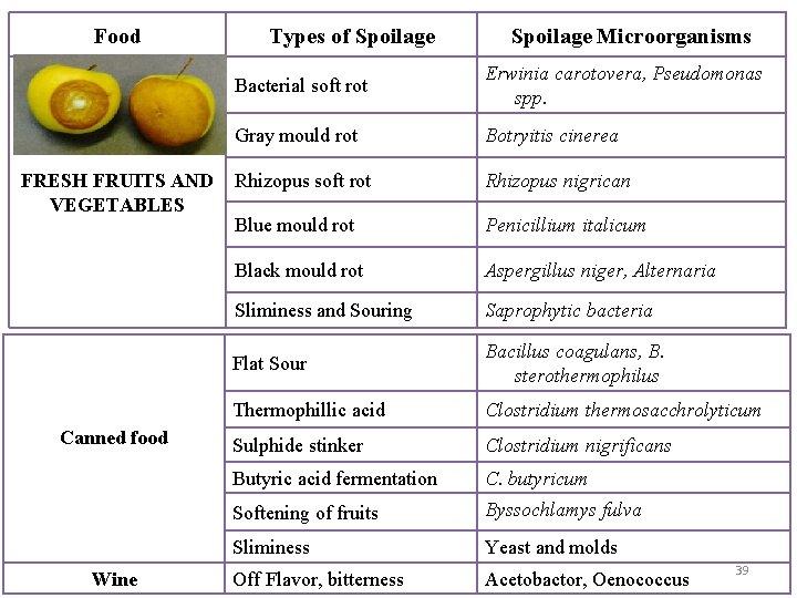 Food FRESH FRUITS AND VEGETABLES Canned food Wine Types of Spoilage Microorganisms Bacterial soft