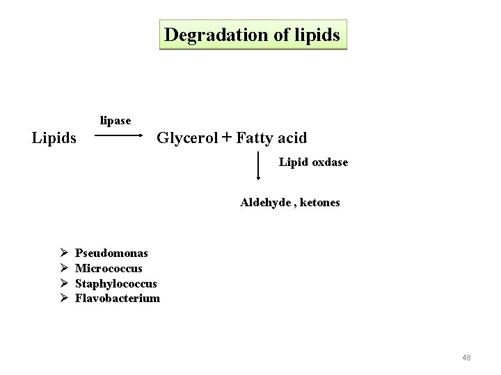 Degradation of lipids lipase Lipids Glycerol + Fatty acid Lipid oxdase Aldehyde , ketones
