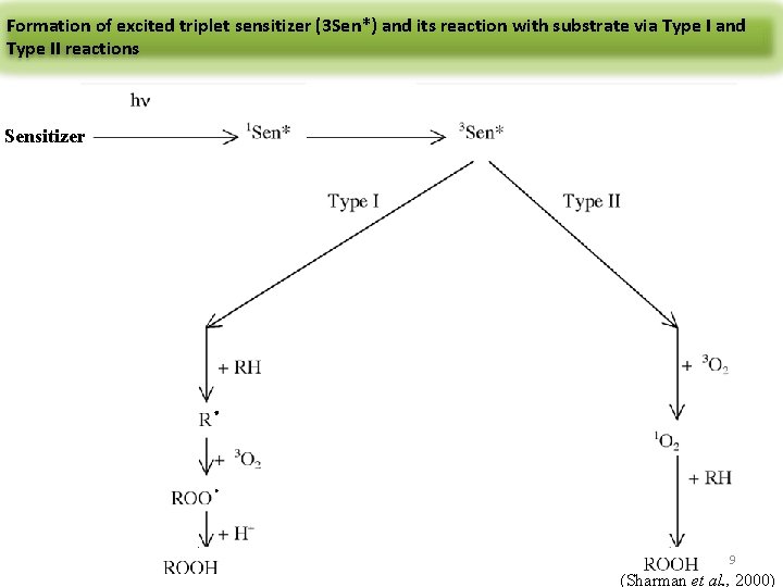 Formation of excited triplet sensitizer (3 Sen*) and its reaction with substrate via Type