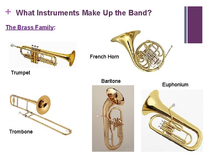 + What Instruments Make Up the Band? The Brass Family: French Horn Trumpet Baritone