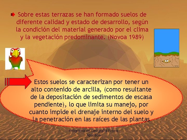 Sobre estas terrazas se han formado suelos de diferente calidad y estado de desarrollo,