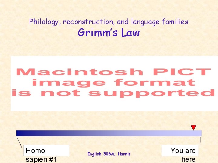 Philology, reconstruction, and language families Grimm’s Law Homo sapien #1 English 306 A; Harris