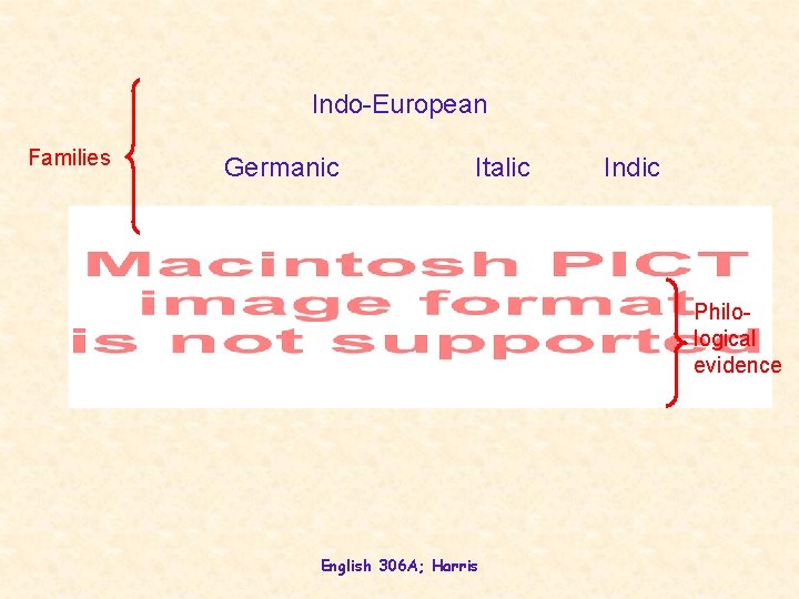 Indo-European Families Germanic Italic Indic Philological evidence English 306 A; Harris 