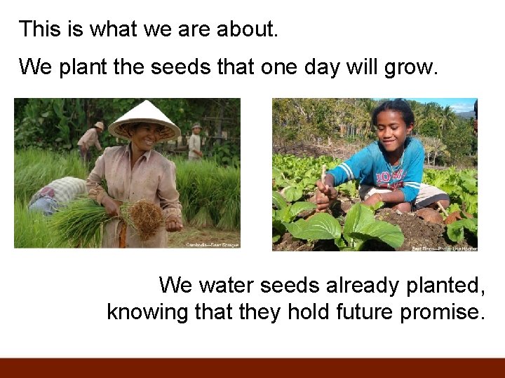 This is what we are about. We plant the seeds that one day will