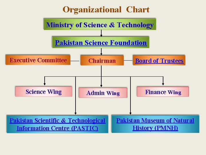 Organizational Chart Ministry of Science & Technology Pakistan Science Foundation Executive Committee Science Wing
