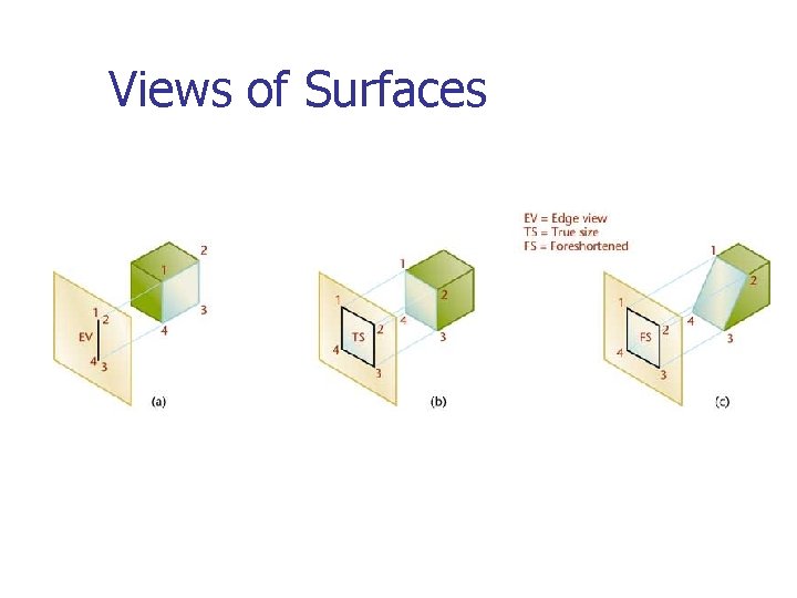 Views of Surfaces 