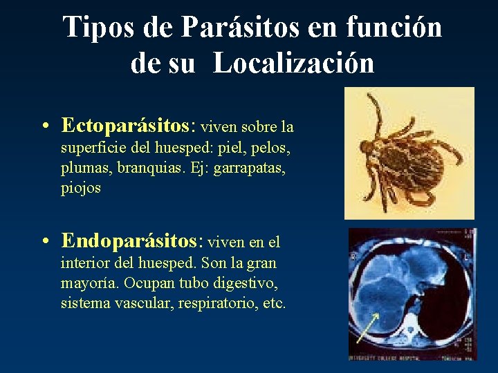 Tipos de Parásitos en función de su Localización • Ectoparásitos: viven sobre la superficie