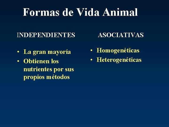 Formas de Vida Animal INDEPENDIENTES • La gran mayoría • Obtienen los nutrientes por