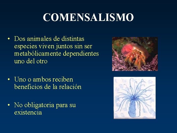 COMENSALISMO • Dos animales de distintas especies viven juntos sin ser metabólicamente dependientes uno