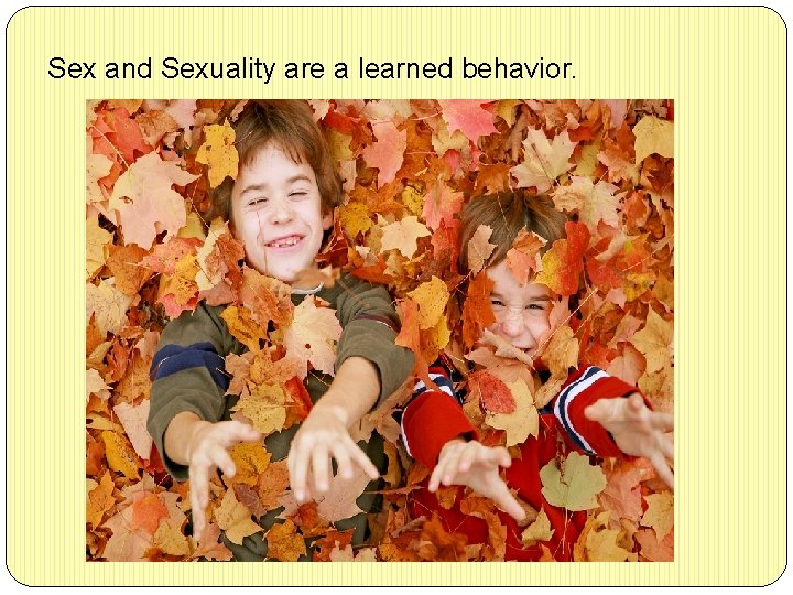 Sex and Sexuality are a learned behavior. 