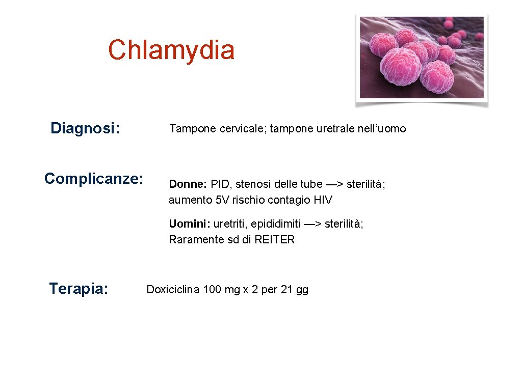 Chlamydia Diagnosi: Complicanze: Tampone cervicale; tampone uretrale nell’uomo Donne: PID, stenosi delle tube —>