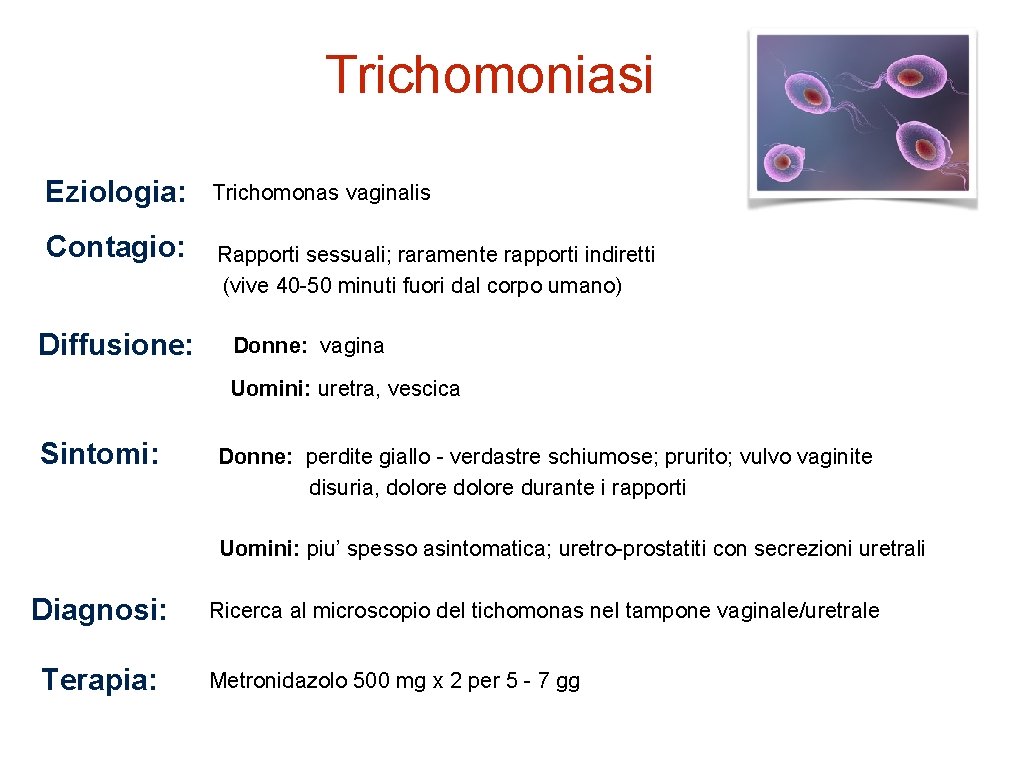 Trichomoniasi Eziologia: Contagio: Diffusione: Trichomonas vaginalis Rapporti sessuali; raramente rapporti indiretti (vive 40 -50