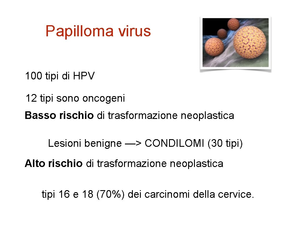 Papilloma virus 100 tipi di HPV 12 tipi sono oncogeni Basso rischio di trasformazione