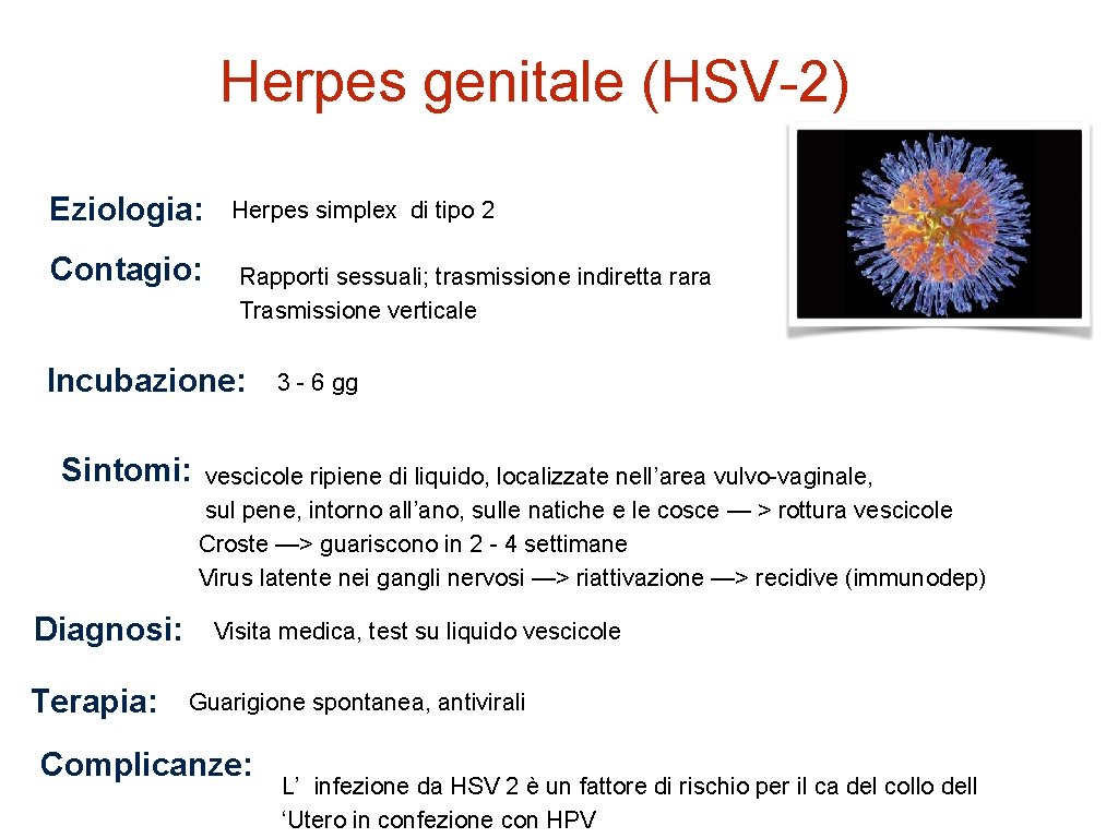 Herpes genitale (HSV-2) Eziologia: Contagio: Herpes simplex di tipo 2 Rapporti sessuali; trasmissione indiretta