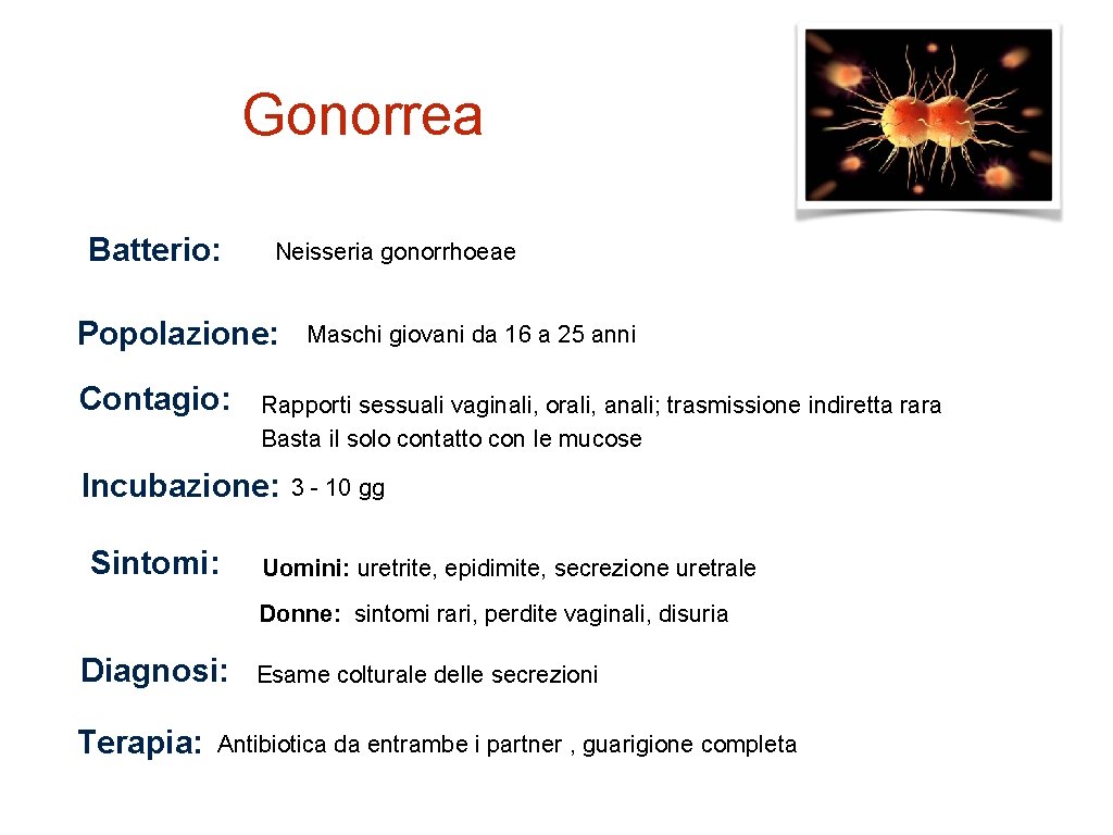 Gonorrea Batterio: Neisseria gonorrhoeae Popolazione: Contagio: Rapporti sessuali vaginali, orali, anali; trasmissione indiretta rara