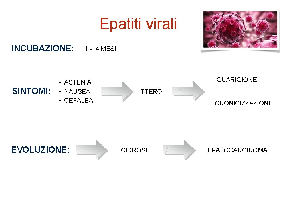 Epatiti virali INCUBAZIONE: SINTOMI: 1 - 4 MESI • ASTENIA • NAUSEA • CEFALEA