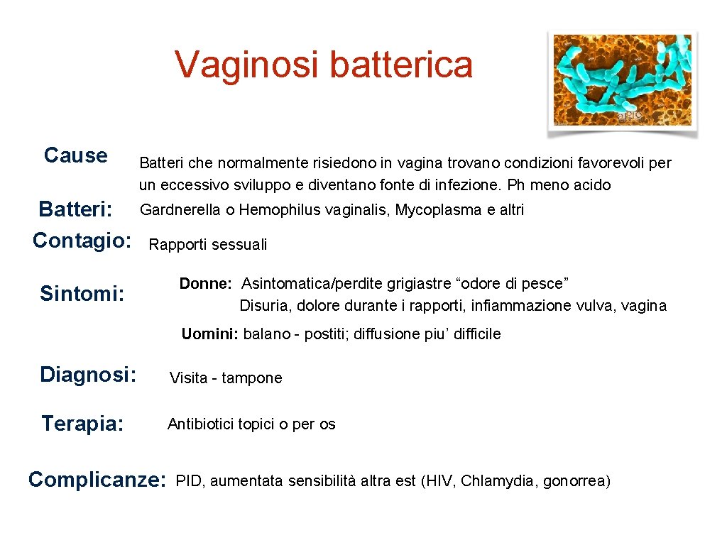 Vaginosi batterica Cause Batteri: Contagio: Batteri che normalmente risiedono in vagina trovano condizioni favorevoli