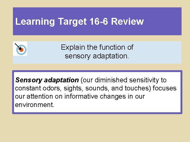 Learning Target 16 -6 Review Explain the function of sensory adaptation. Sensory adaptation (our