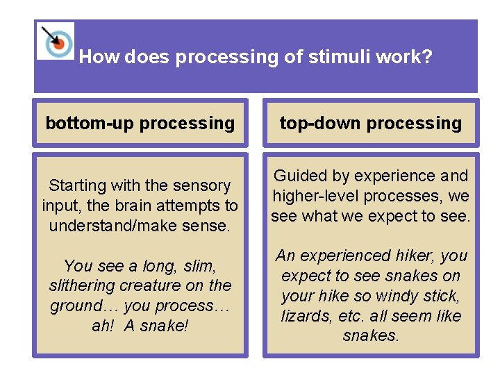 How does processing of stimuli work? bottom-up processing Starting with the sensory input, the