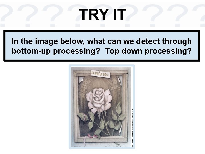 In the image below, what can we detect through bottom-up processing? Top down processing?