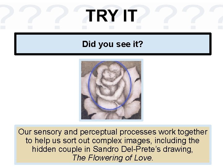 Did you see it? Our sensory and perceptual processes work together to help us