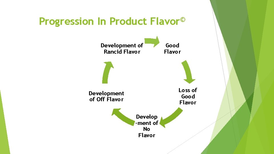 Progression In Product Flavor© Development of Rancid Flavor Good Flavor Loss of Good Flavor