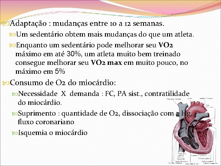  Adaptação : mudanças entre 10 a 12 semanas. Um sedentário obtem mais mudanças