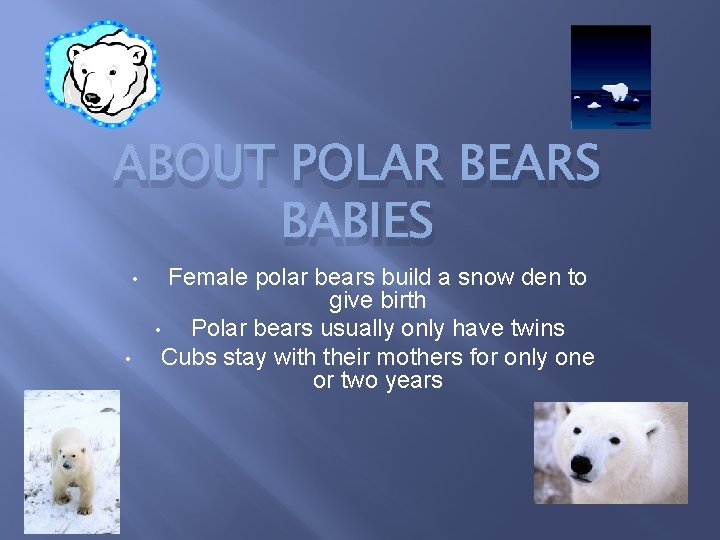 ABOUT POLAR BEARS BABIES • • Female polar bears build a snow den to