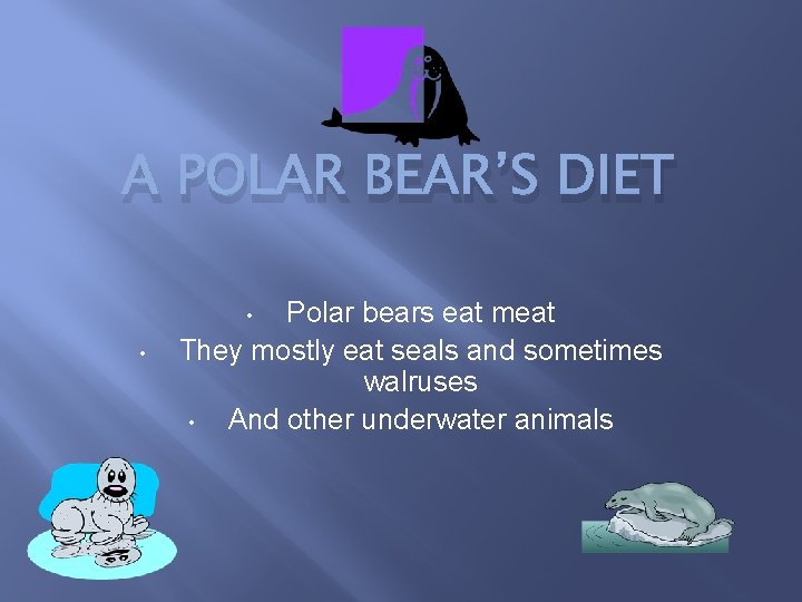 A POLAR BEAR’S DIET Polar bears eat meat They mostly eat seals and sometimes