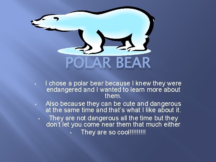 POLAR BEAR • • • I chose a polar because I knew they were