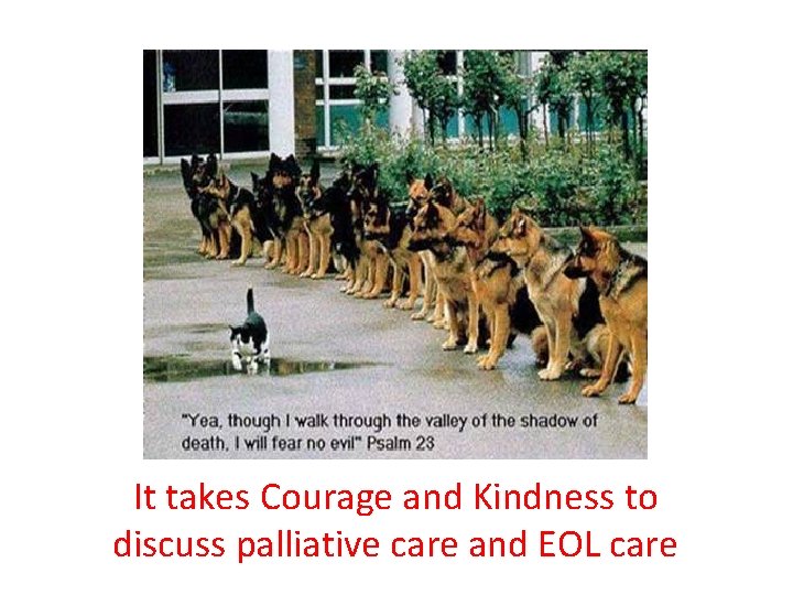 It takes Courage and Kindness to discuss palliative care and EOL care 