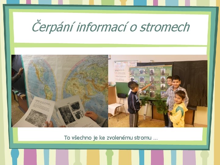 Čerpání informací o stromech To všechno je ke zvolenému stromu … 