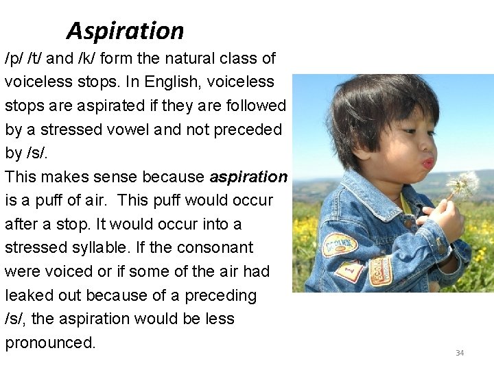 Aspiration /p/ /t/ and /k/ form the natural class of voiceless stops. In English,